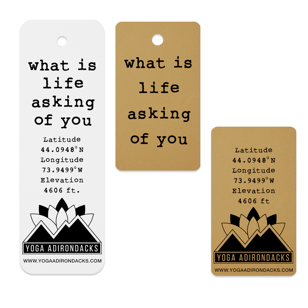 Remind yourself: what is life asking of you? Sturdy paper bookmarks available in full-length white and mini natural kraft.